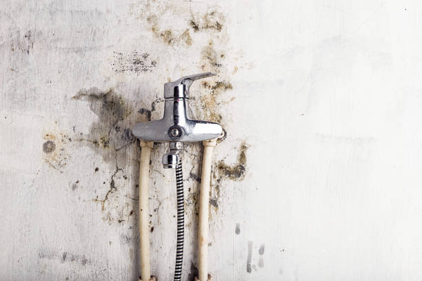 Best Residential Mold Removal  in Bronson, MI