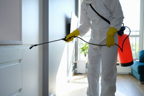 Best Attic Mold Removal  in Bronson, MI