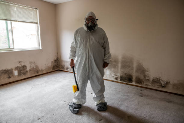 Best Commercial Mold Removal  in Bronson, MI